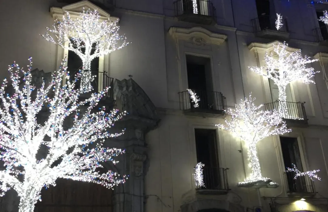 B&B Sorgente 23-1